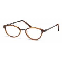 Modo 4539 Havana - Oculos de Grau